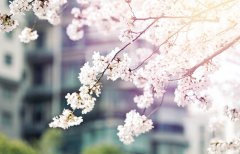 瓦尔塔AGM蓄电池 助力短途自驾舒适安心