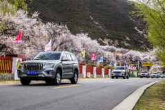 深耕中国越野文化 哈弗H9在林芝诠释文旅越野新底色